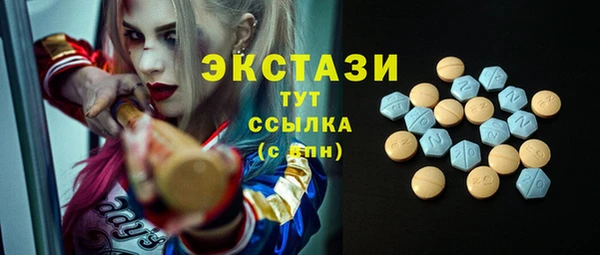 хмурый Арсеньев