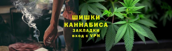 гидропоника Алзамай