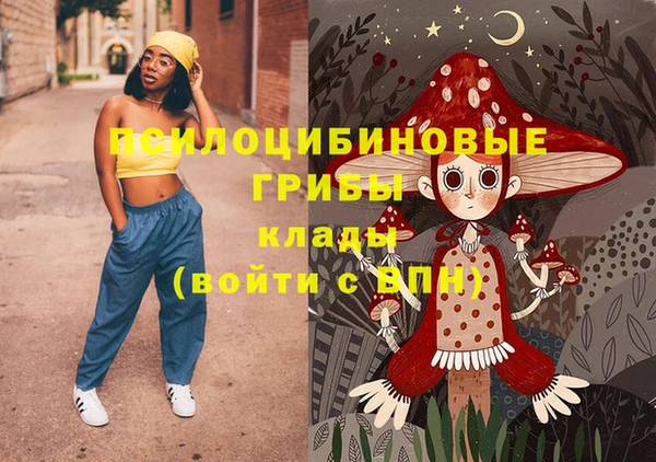 индика Армянск