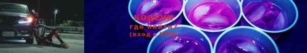 хмурый Арсеньев