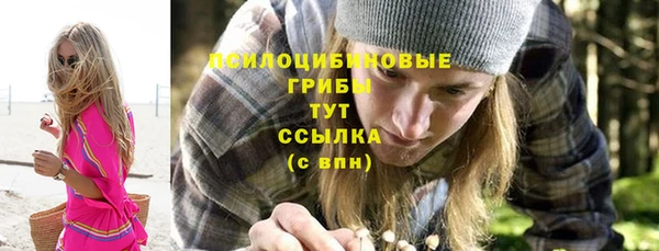 гидропоника Алзамай