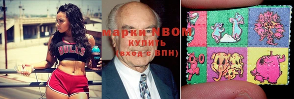 хмурый Арсеньев