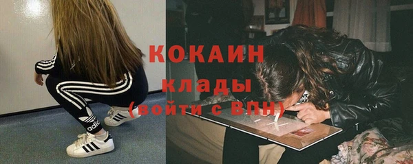 индика Армянск