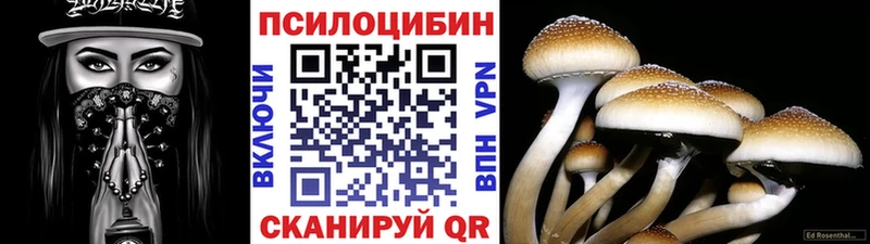 Галлюциногенные грибы MAGIC MUSHROOMS  купить закладку  Ростов 